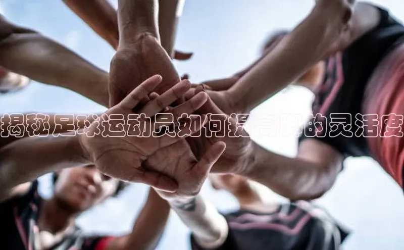 意昂体育3娱乐用176五八27从百度手机助手