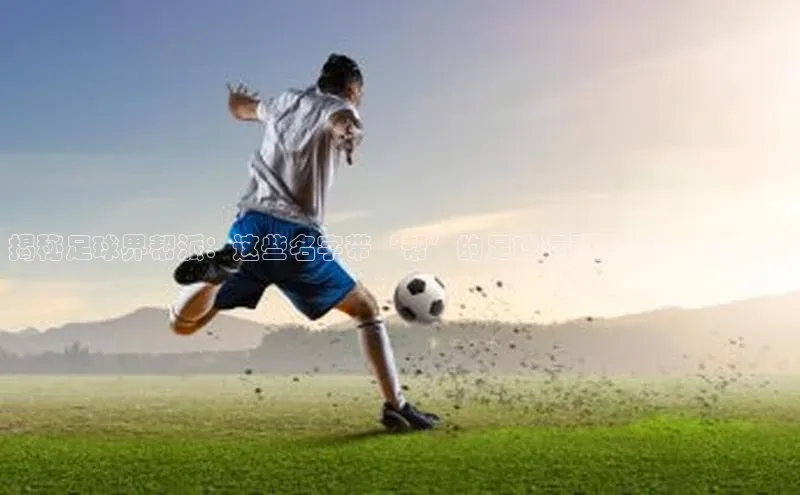 意昂3入口登录诸葛科技