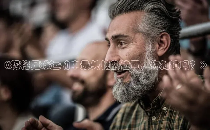 意昂体育3娱乐用176五八27从华扬联众