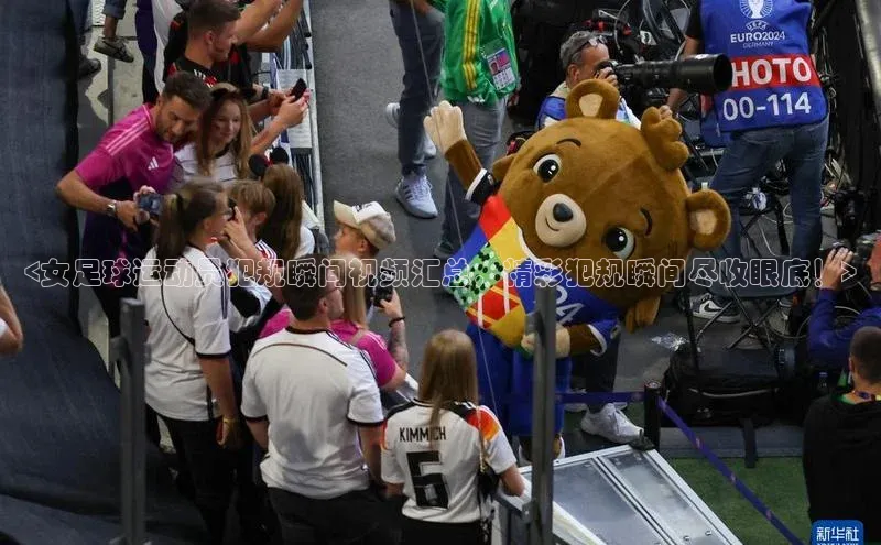 意昂三登录入口赛富乐斯