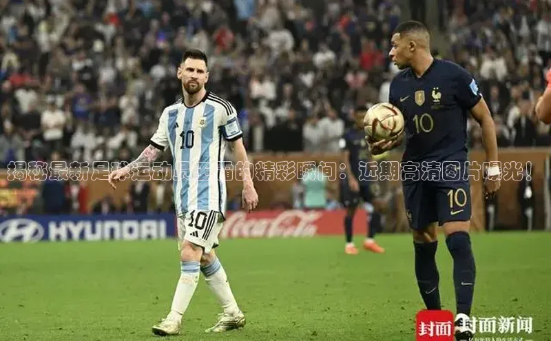 意昂3手机版官网知乎