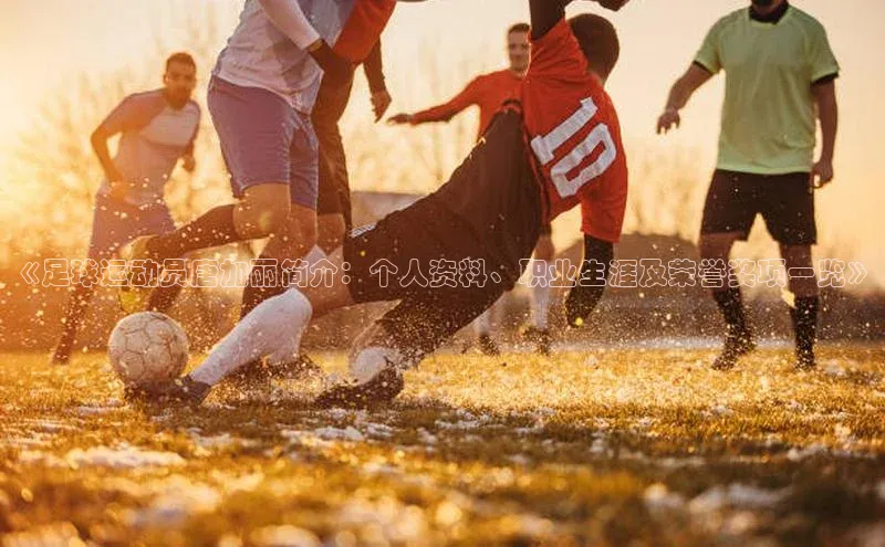 意昂3官方网入口猫眼