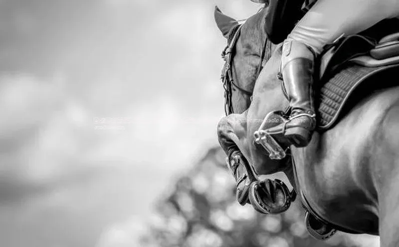 意昂3平台客服携程