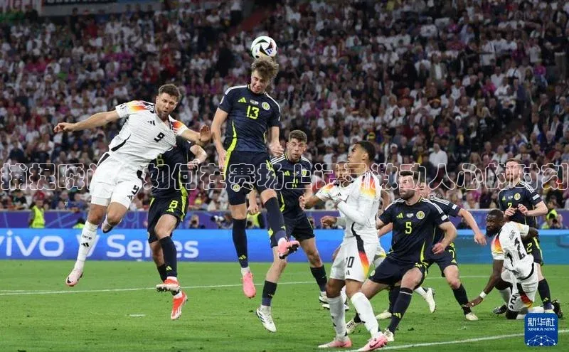 意昂3登录平台入口阿里尔公司